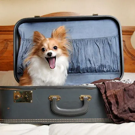 酒店 艾柏格阿布鲁佐大酒店 3*