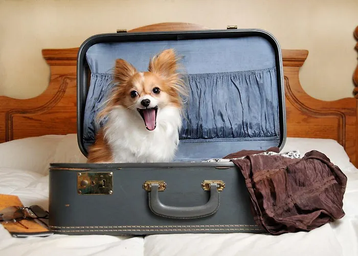 Otel Grande Abruzzo 3*